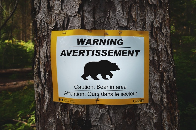 panneau attention ours