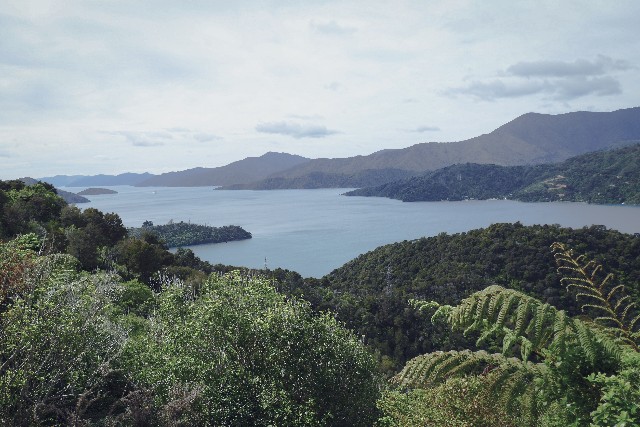te araroa - queen charlotte3