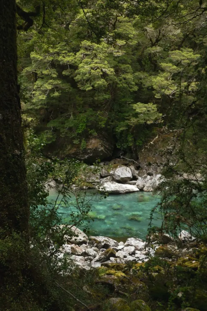 Young Valley
