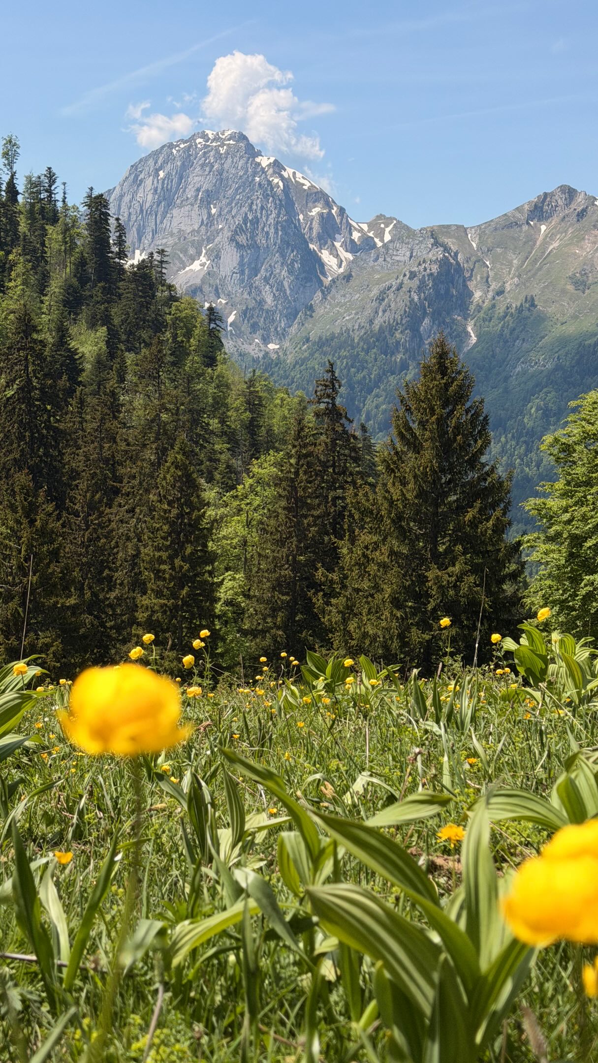 Les meilleurs treks ne sont pas toujours les plus connus 🫶

Les Bauges, c’était pas du tout prévu.

À la base, on devait partir faire le tour de l’Obiou… puis la météo, la neige et l’envie d’un trek plus tranquille nous ont fait changer nos plans au dernier moment.

Alors on a improvisé quelques jours dans les Bauges.
Et honnêtement ? Belle claque.

Des sentiers hyper verdoyants, des fleurs partout, les premières marmottes, très peu de monde (à part le week-end de Pentecôte 😅), et cette sensation de marcher juste pour le plaisir.

Pas le massif le plus “sexy” sur le papier.
Mais parfois, ce sont justement les endroits dont on parle le moins qui deviennent les plus beaux souvenirs ✨

Une aventure avec @leanarwh ❤️

#bauges #alpesfrancaises #trek #montagne #rando